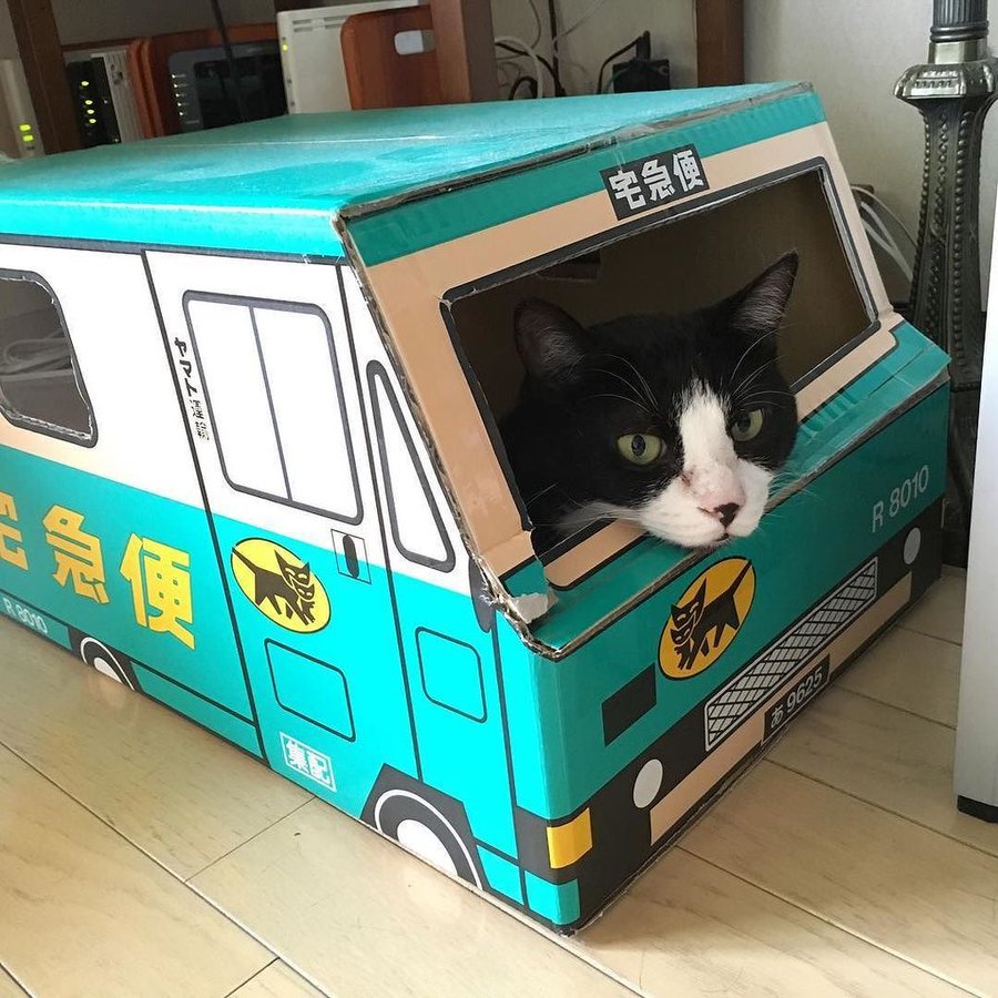 リアル猫の宅急便 ヤマトのダンボールを使った猫のお家がかわいい ねこちゃんホンポ