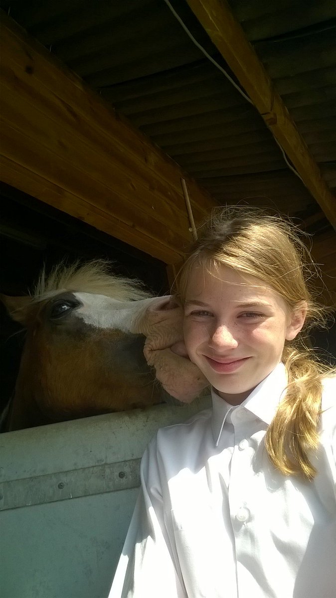 WelshSectionA's tweet image. Love this gorgeous boy forever.. change of plan not going NMRC show 😑😢 shame my gorgeous boy would do good x GLE xx