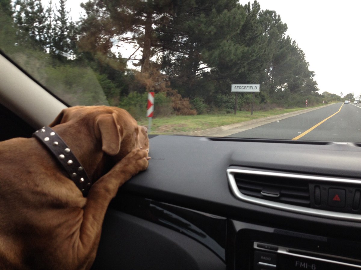 Road trip with my peeps! <a href="/Smart_Swart/">Dylan Swart</a> <a href="/Kimmon_S/">Kimmon Swart</a> <a href="/Cars_and_Sales/">ConsultantontheCouch</a> <a href="/WilliamSimpsonT/">William Simpson Cars</a> #WhyWSCars