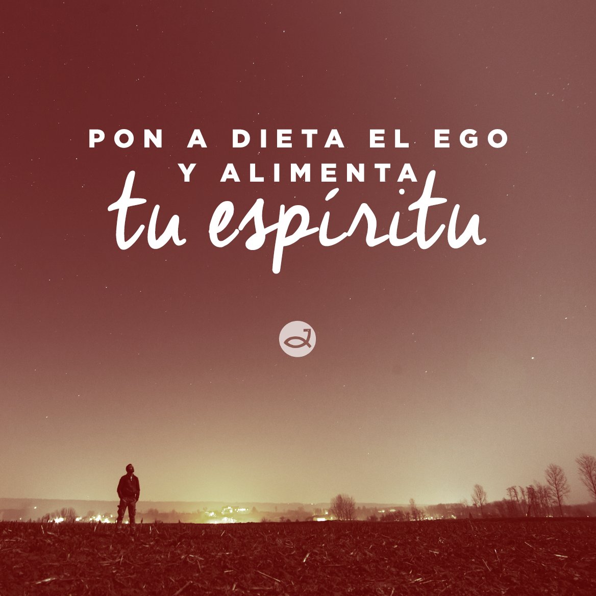 casachurchmiami's tweet photo. Alimenta tu espíritu... https://t.co/YQ53m7IPfA