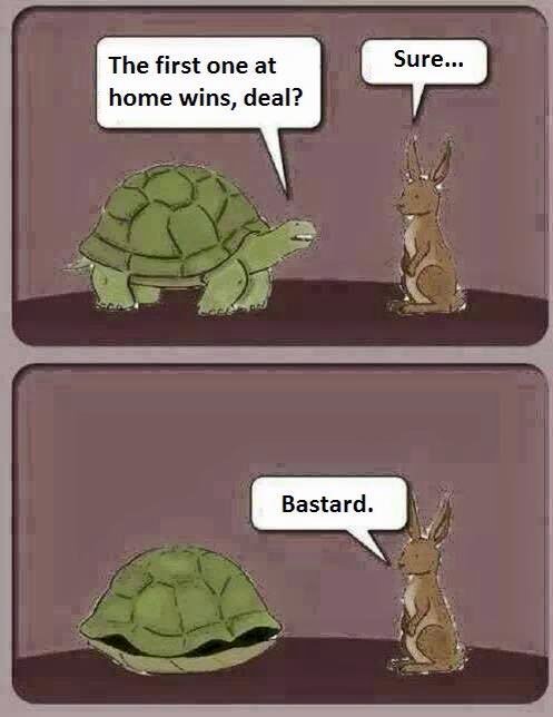rajeshsinghh's tweet photo. oops.. Turtle wins again... #TurtleVsRabbit . That's hilarious https://t.co/YzoRno8AZn
