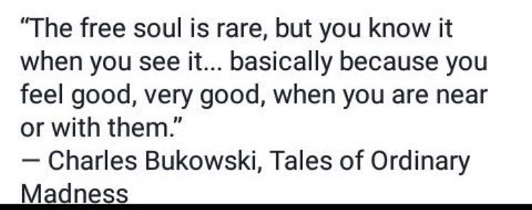 noveliststudio's tweet photo. Charles Bukowsky was such a philosopher - like a great writer is. This is so right on https://t.co/3wNvKBrfhK https://t.co/gJwZPEAiOV