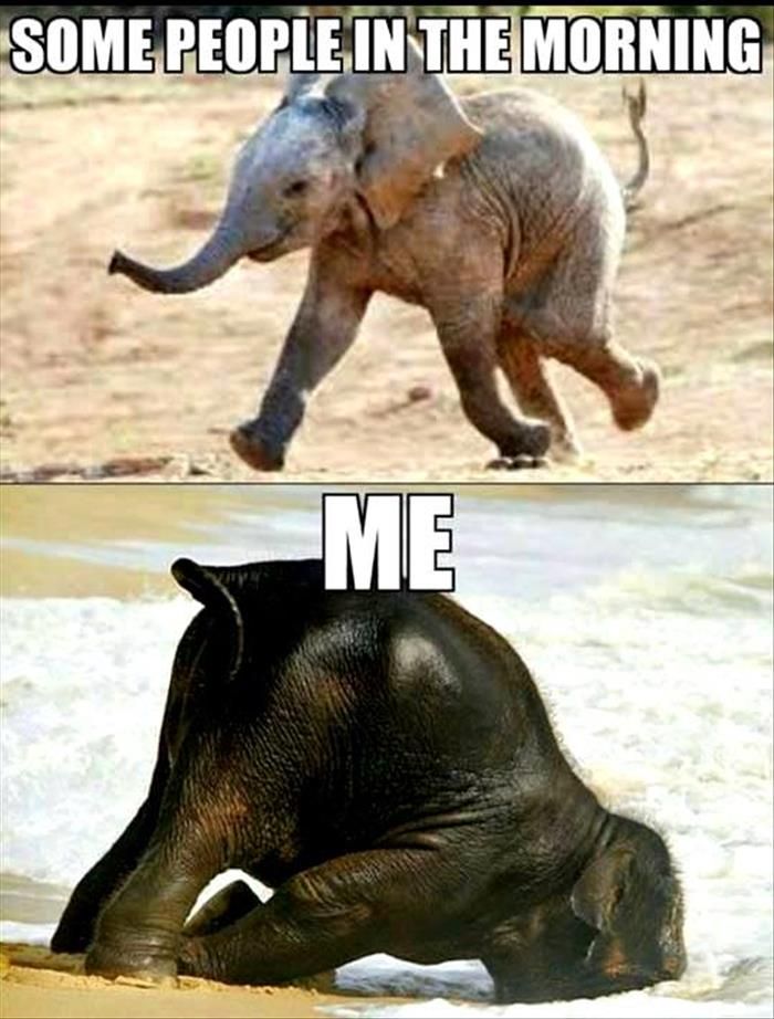 now_humor's tweet photo. Love this #truth
 https://t.co/QVXGQjuvVe https://t.co/lyEtDhxXoR
