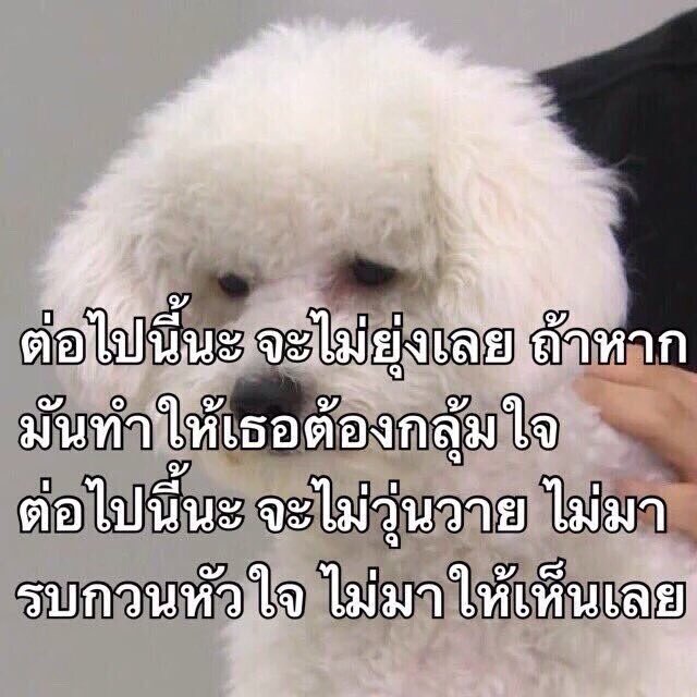 KSYO615's tweet photo. @vocalxjoshua @joongxwoozi https://t.co/kFZyvsz8iX