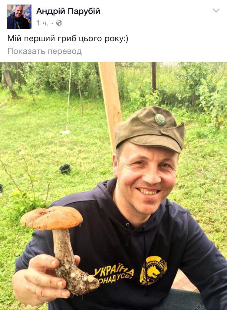 Парубий - "Оппоблоку": Роспуск Рады - это не украинский сценарий - Цензор.НЕТ 3873