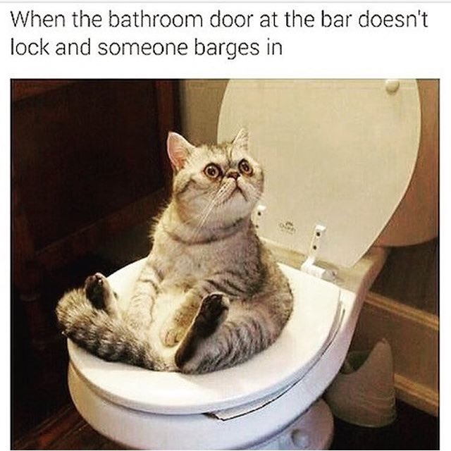 NotTrulyAverage's tweet image. 