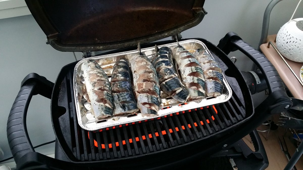_pepalope_'s tweet photo. Suoraan merestä grilliin. #makrilli #norjanmatkailua https://t.co/OzGr9PGmCC