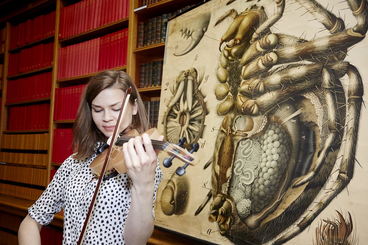 royalsociety's tweet photo. Final day of #summerscience! Come meet a wonderful array of scientists &amp; see their research https://t.co/sPeO1l4sD4 https://t.co/t8vygV6v72