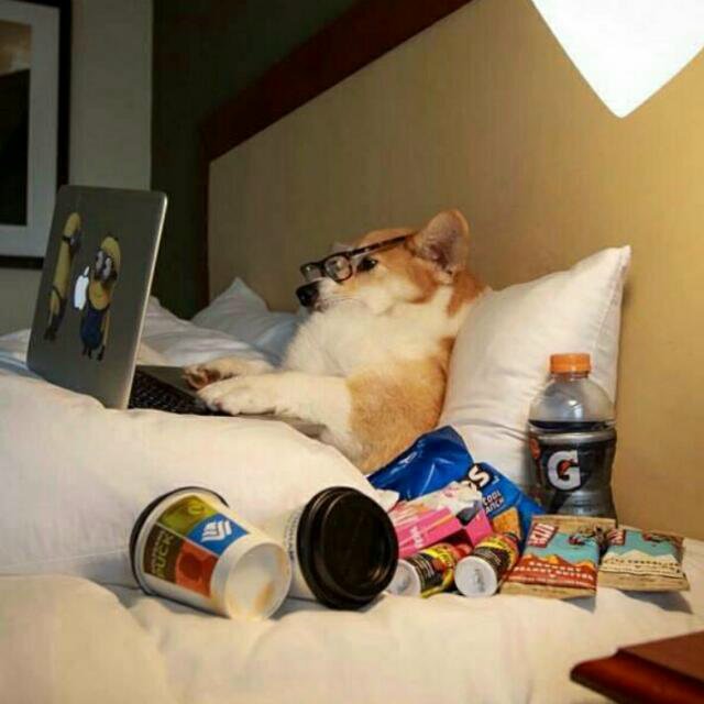 amyally22's tweet photo. Me, basically all day... after Ramadaan https://t.co/u9R7G0c78m