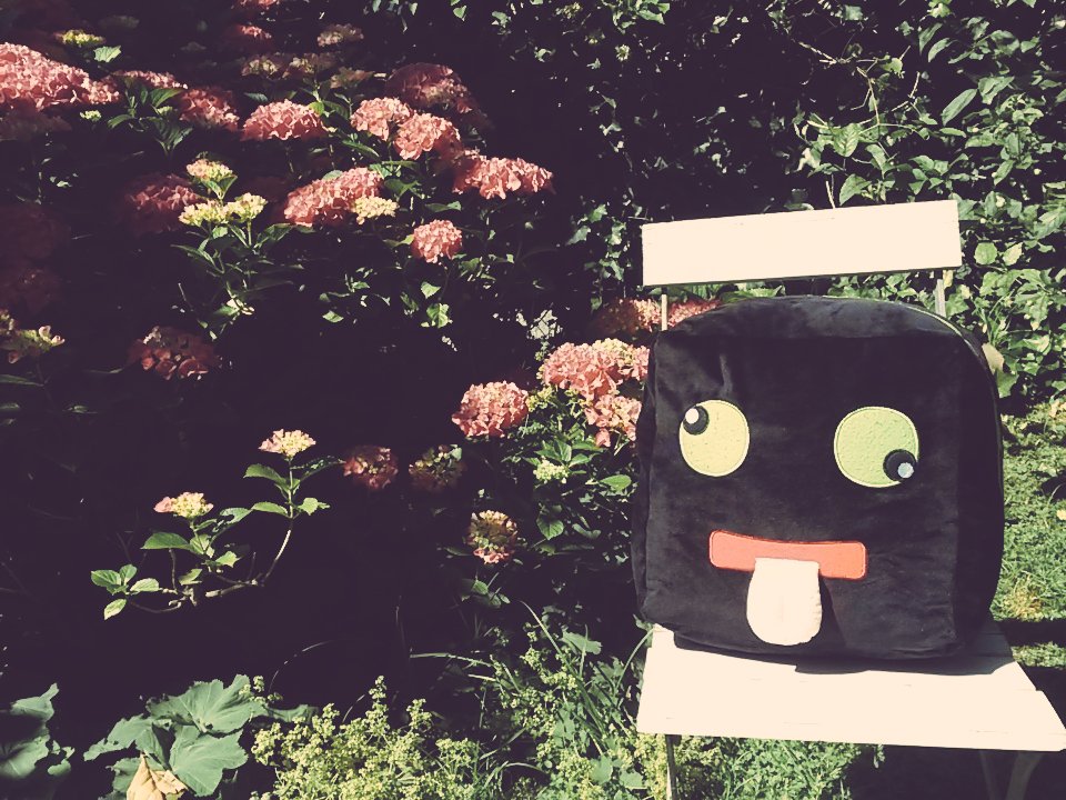 _TLela_'s tweet photo. @ArazhulHD Ist er nicht süß? ♡_♡ https://t.co/1gqi8Fgq8V