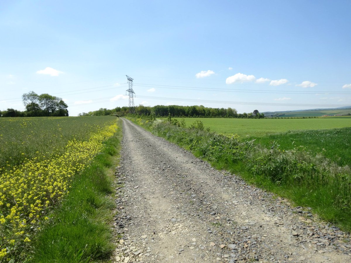 ReassessHistory's tweet photo. Looking up Hill 112 towards Diamond Wood and The Orchard. 254 cas suffered by 5 DCLI #43Div in 'Cornwall Wood' #WW2 https://t.co/Y8ld1xN2zU