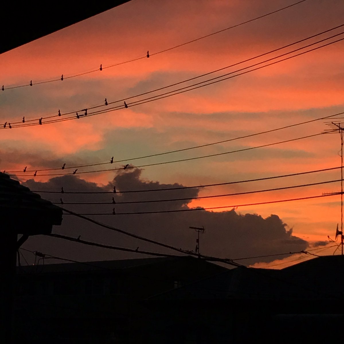 mrkyten's tweet image. #NoFilter #WithWire