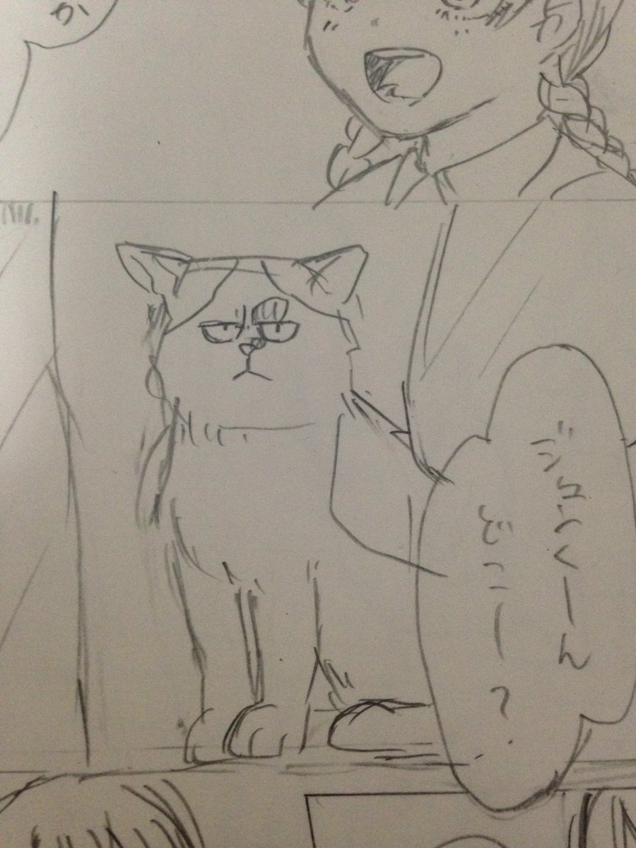 猫の目元が完全にチョウゲンボウ先輩 