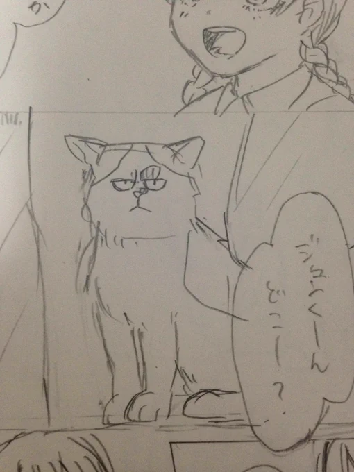 猫の目元が完全にチョウゲンボウ先輩 