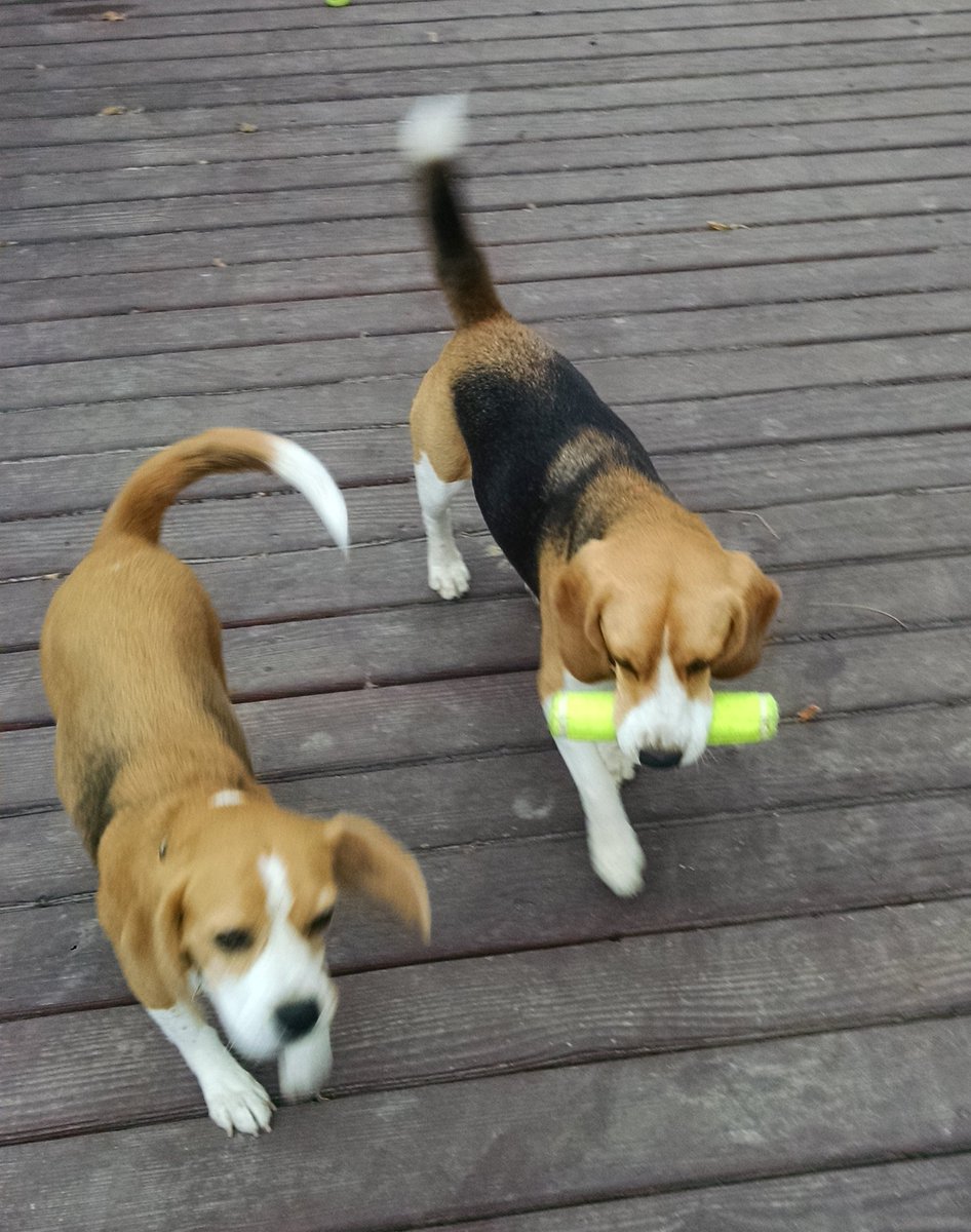 JennBarMethodSD's tweet image. #petcopets