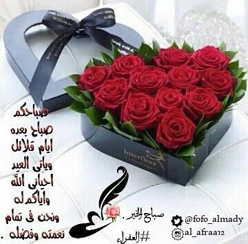 fofo_almady's tweet photo. صباحكم
صباح بعده
ايام قلائل
وياتي العيد
احياني الله
واياكم له
ونحن في تمام
نعمته وفضله
صباح الخير ..🌹
#العفراء https://t.co/M5Aw9qcNNl