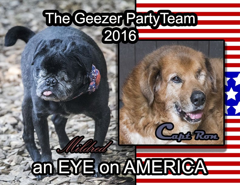 oldfriendssds's tweet photo. And the race is on....
#Mildred2016 #MildredRon2016 https://t.co/Bakw8FLhGc