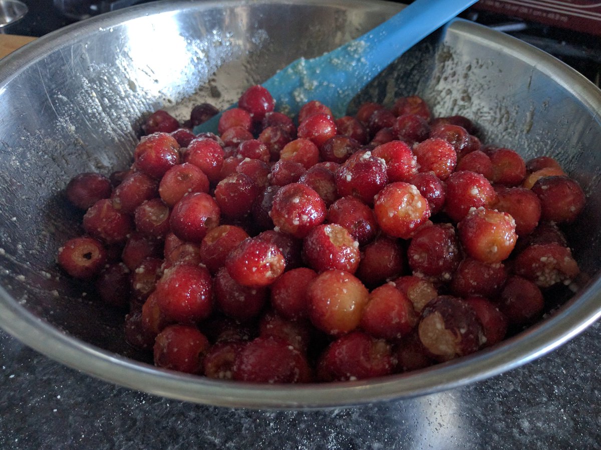 HomeEcRoom's tweet image. 😍🍒🇺🇸Found cherries growing wild, making cherry pie. I love Oregon!