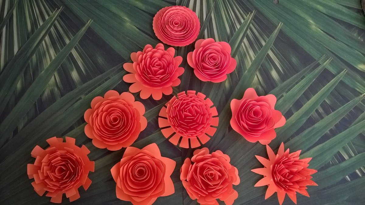 AlwaysnBlossom's tweet photo. Neon Orange paper flowers 10 large bright garden flowers … https://t.co/NFsb7Jxau5 #KikisCollections #WeddingFlowers https://t.co/PD5d0O46wj