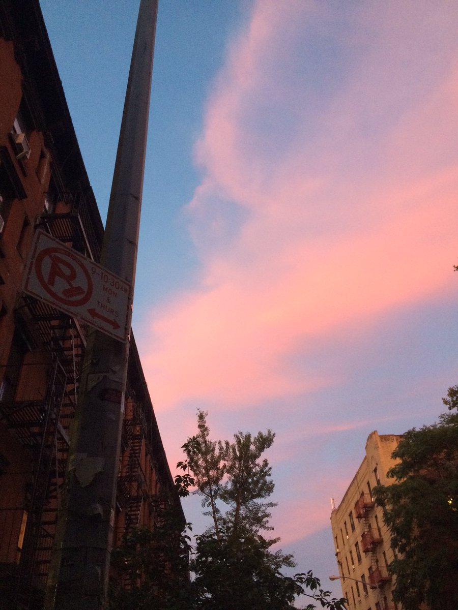 apinaglia's tweet photo. "There is no stopping place" in life...@whatisaredball #pctfnyc https://t.co/uzlwEKWh0Y