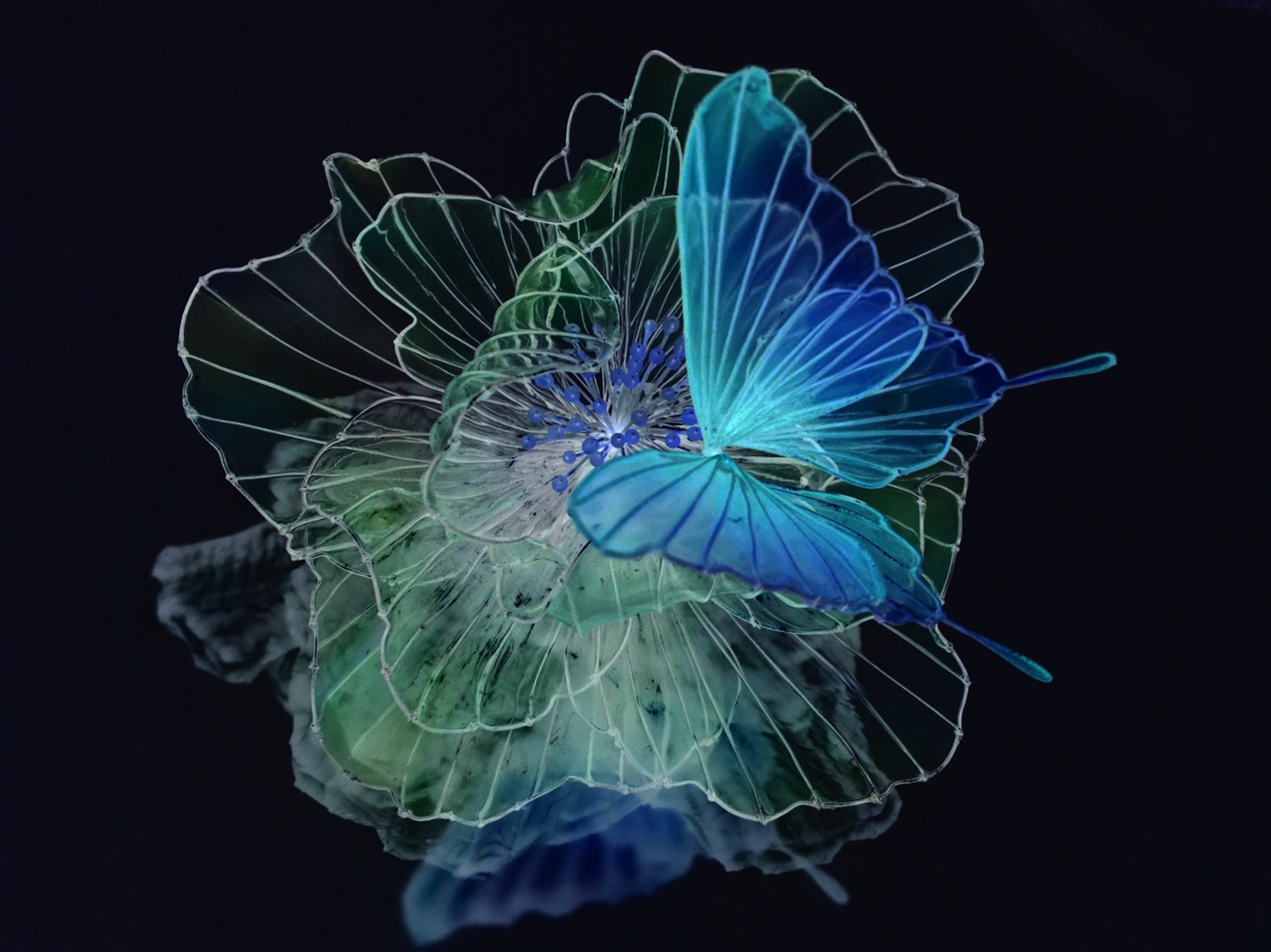 O Xrhsths 花燈 かほ ディップアート 簪作家 Sto Twitter 失敗作の芙蓉と蝶を組み合わせて ラインカメラ で撮影して加工してみたのだけど なんだか元画像よりはるかにカッコイイw ディップアート ハンドメイド 紅屋 T Co X27ljenw0n Twitter