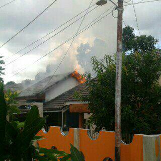 Mandin prumnas dalam  kebakaran