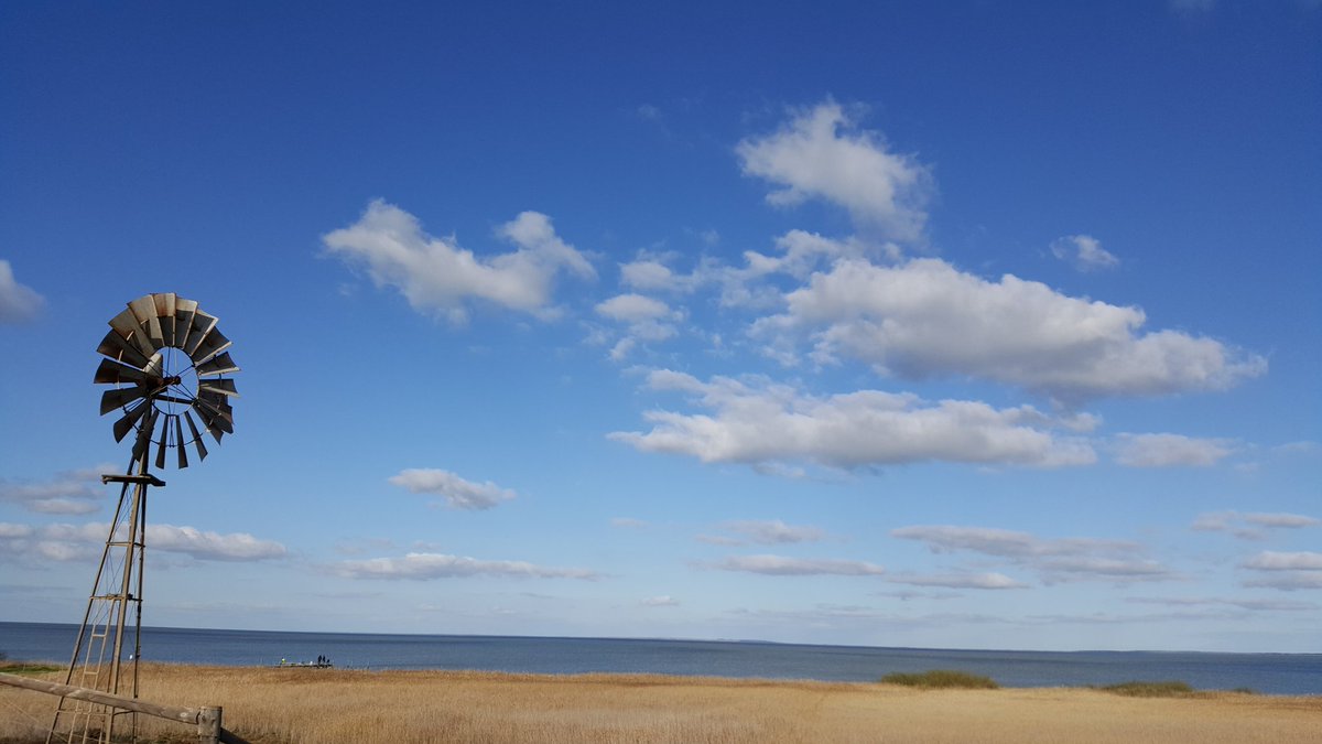 jjaanzz's tweet photo. Out and about  in our backyard = beautiful Lake Alexandrina #sundaydrive #SouthAustralia https://t.co/pZHAOqgccL