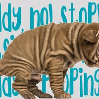 ocdogranch's tweet photo. How to #PottyTrain a #Puppy in Seven Days | #dogtips #OCdogtrainer #dogtrainer #dogschool https://t.co/bd0sL3ozk2 https://t.co/MnNI59RYP0