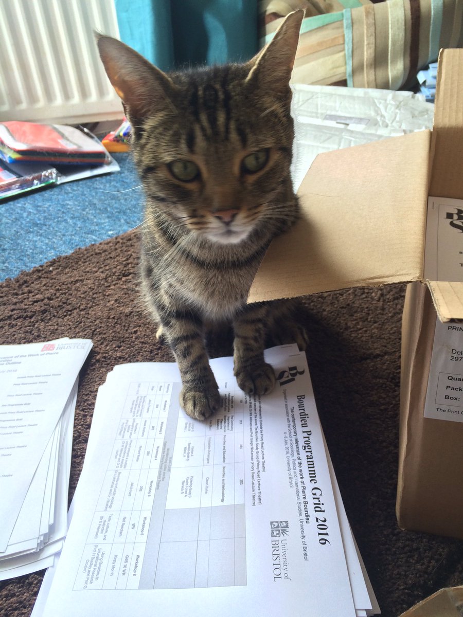 AbrahamsJJ's tweet photo. Got my little helper #Tyger here being a cutie #DelegatePacks #Bourdieu16 @BSABourdieuSG https://t.co/nniT4w63DO