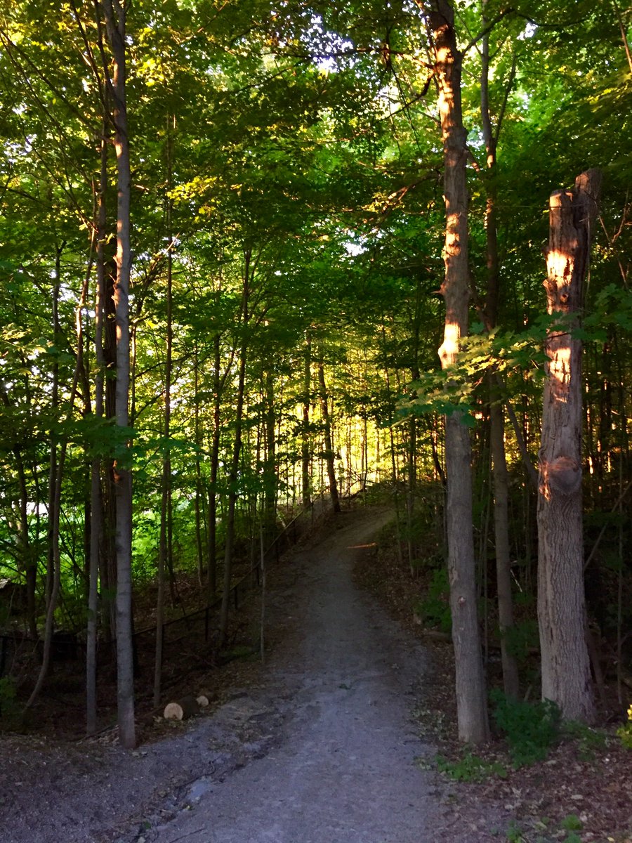Exploring trails at sunrise around <a href="/standrews1899/">St. Andrew's College</a> before #CAISLI16... expecting the best!