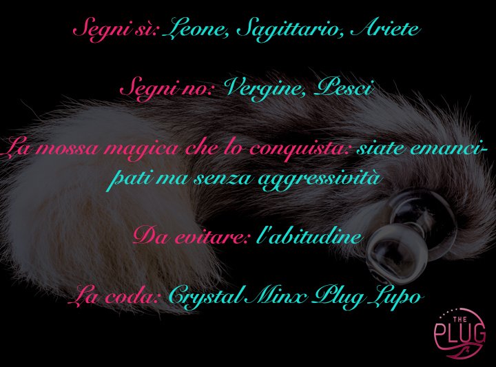 theplugitalia's tweet photo. Questa domenica è il turno degli #Acquario. Siete pronti a scoprire la vostra #coda? #sexytoys #analplug #oroscopo https://t.co/YFt4OJ0nMu