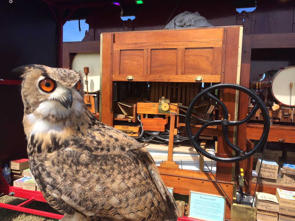 You'd be a twit to miss it! <a href="/PadstowRally/">PadstowVintageRally</a> #bigorgan