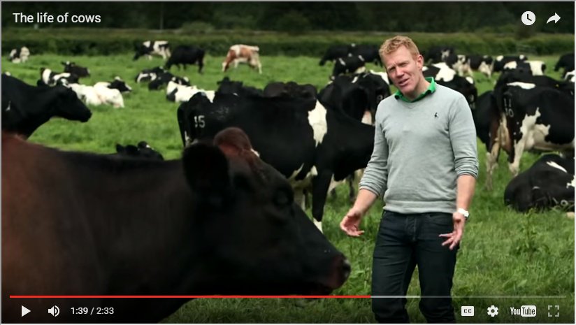 thisisdairy's tweet photo. Find out what life for many dairy cows looks like on modern dairy farms today #DiscoverDairy https://t.co/KEgMgviLLl https://t.co/xpn9PR11Jx