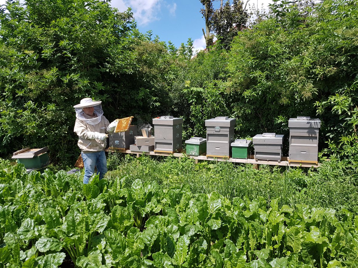 HeinvElderen's tweet photo. Blije Bijen 🐝🐝🐝 op de boerderij 😀 https://t.co/IxoR0ohBOA