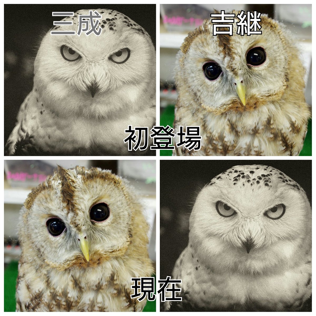 真田丸 16年7月3日 日 ツイ速まとめ 真田丸 16年7月3日 日 ツイ速まとめ