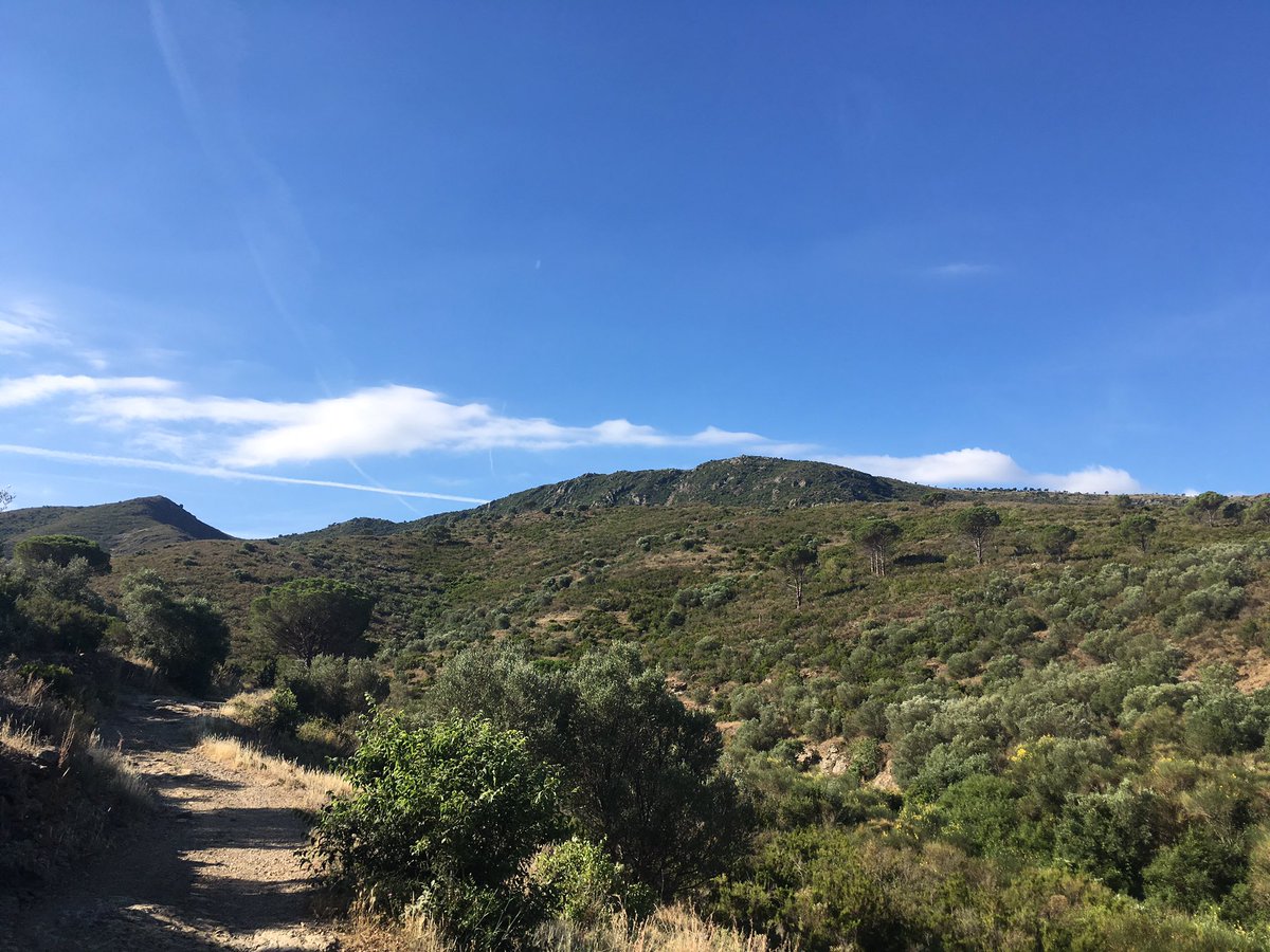 MasaiRunning's tweet photo. Final hurdle!over this &amp; downhill all the way to the Med on the @sarvatweet Pyrenees run. #werun2gether #ukrunchat https://t.co/3wahDi1WGp