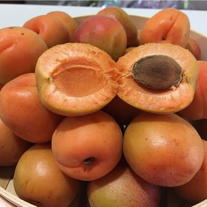 (양살구)#살구효능# 피부노화방지.
기관지 천식.야맹증.피부미용.항산화효과.
폐건강..