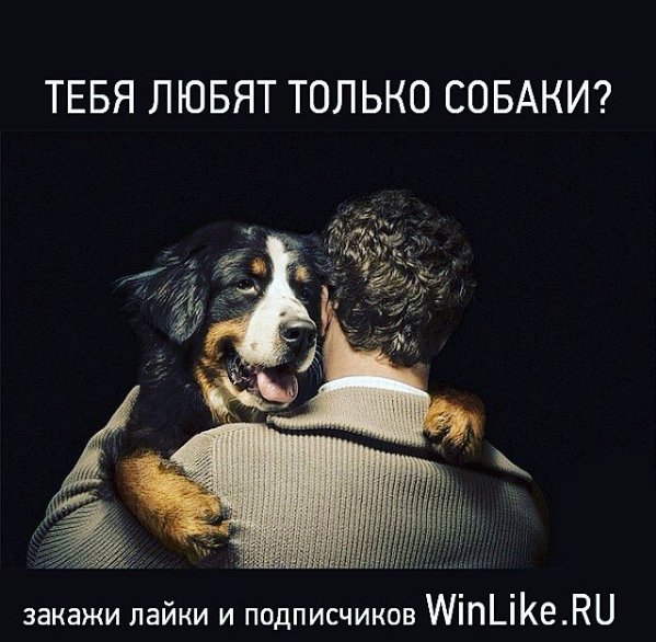 Накрутка твиттер (@nakrutkatwitte) on Twitter photo 
