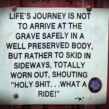 gdavies683's tweet photo. #life 👌 https://t.co/W6o8PvrLbI