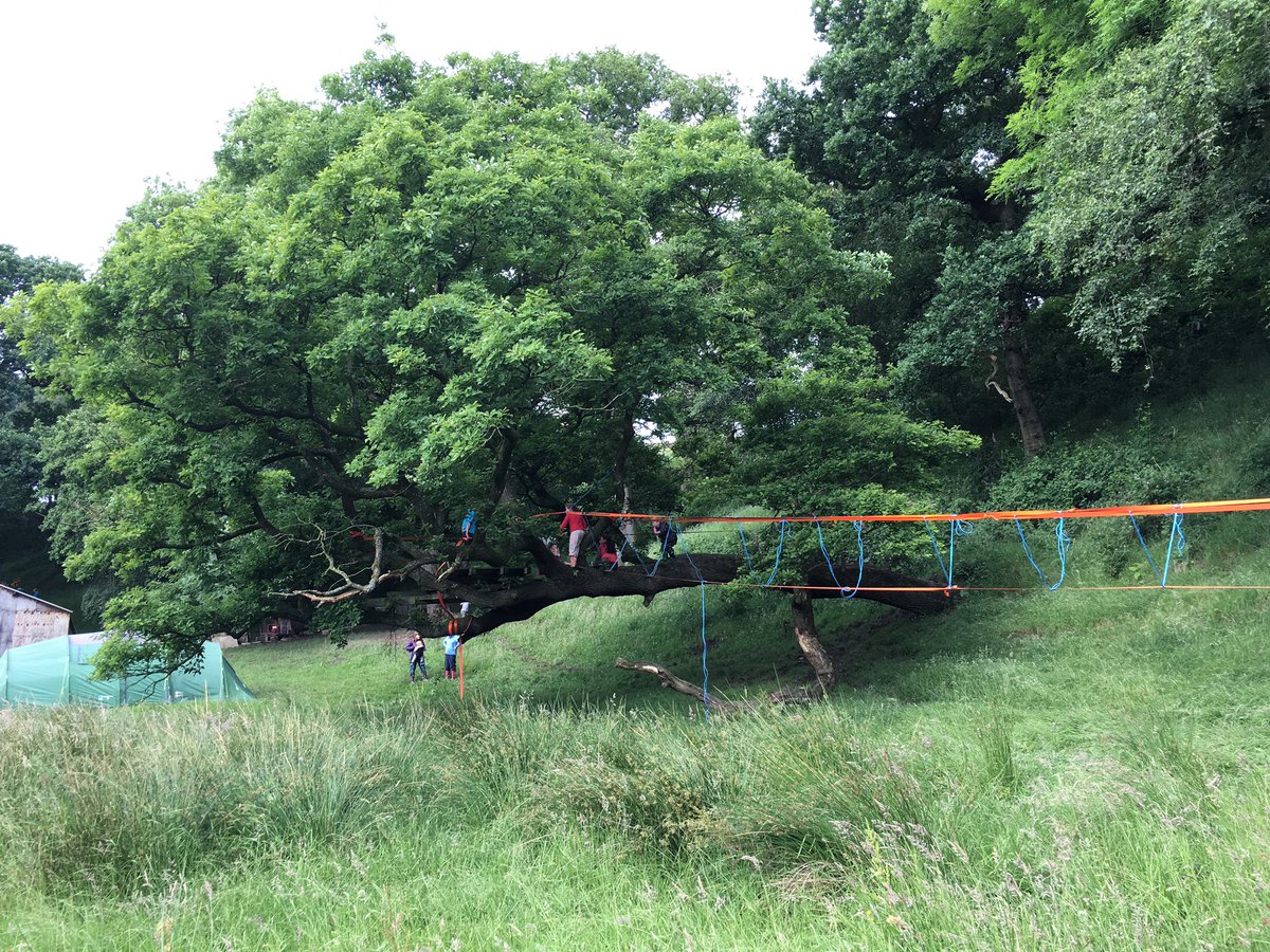 PrestonDYC's tweet photo. Beavers and Cubs from 46th Preston enjoying their adventure camp this weekend @PrestonScouts https://t.co/eHoq3Vuuyv