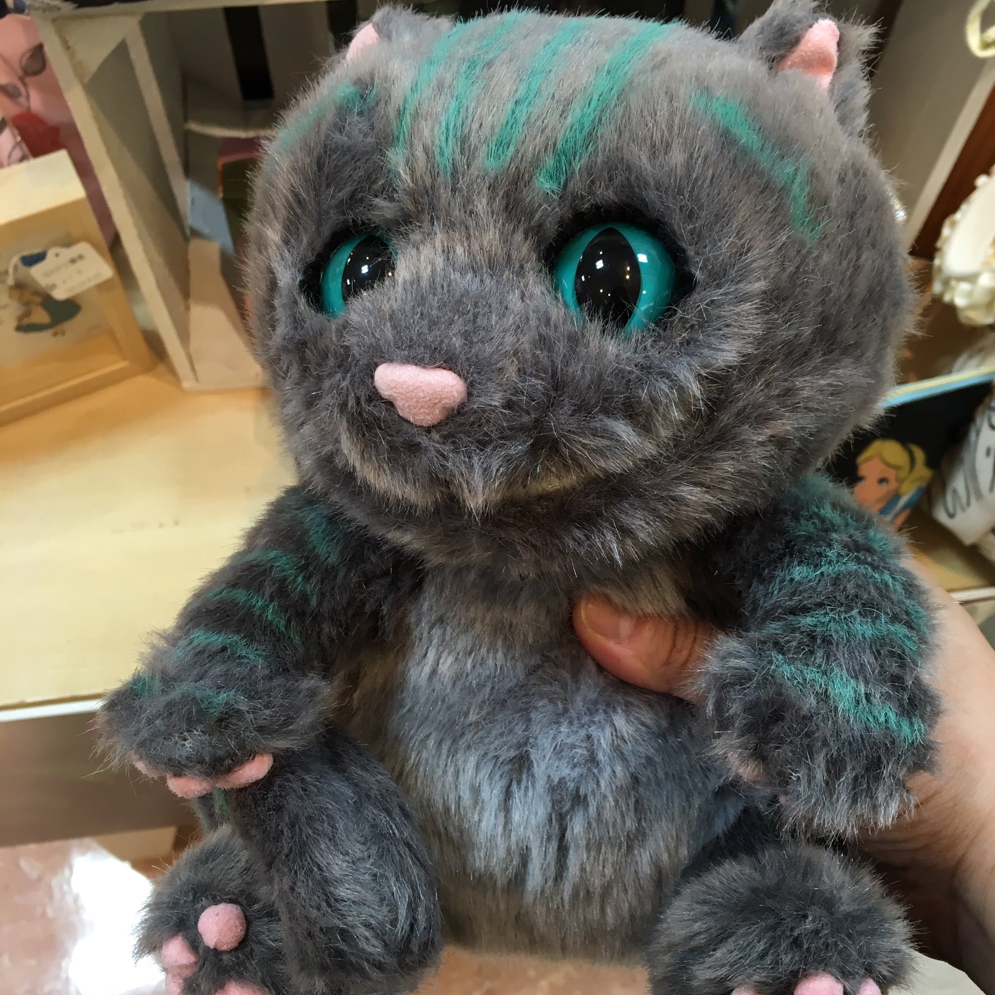 丸顔ねこ アリスのチェシャ猫ぬいぐるみがブリちゃんみたいで可愛い 悪そうな顔がサバおみたい 猫好きさんと繋がりたい アリスインワンダーランド チェシャ猫 ブリティッシュショートヘア T Co 2yu0op1s9g Twitter