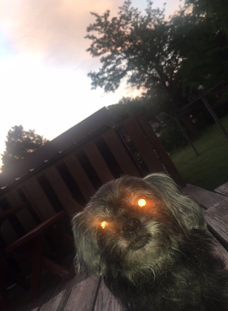 susan_john_'s tweet photo. She thought the sunrise was pretty, I thought she was prettier 💕 https://t.co/T8wnLsfuAd