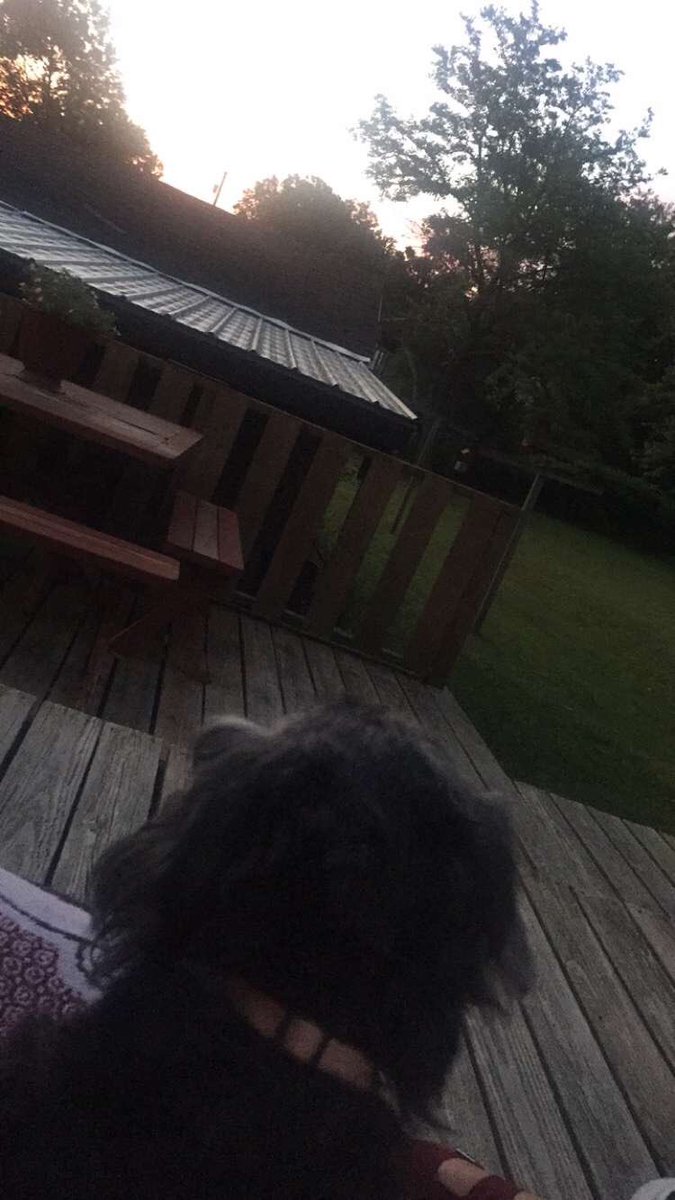 susan_john_'s tweet photo. She thought the sunrise was pretty, I thought she was prettier 💕 https://t.co/T8wnLsfuAd