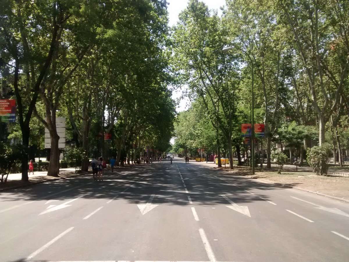 MicroplanMadrid's tweet photo. Ya sabes que el paseo del Prado es parcialmente paseable los domingos hasta las 14:00? #Madrid https://t.co/qXZYFYE3ZZ