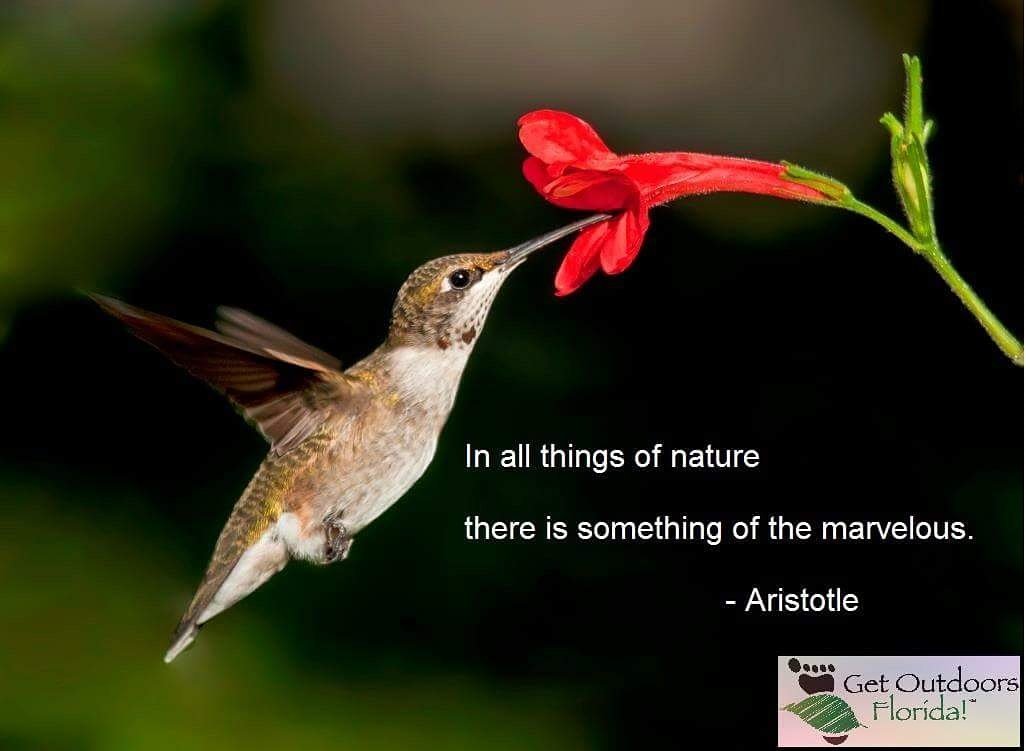 #GetOutdoorsFL  #SundayInspiration