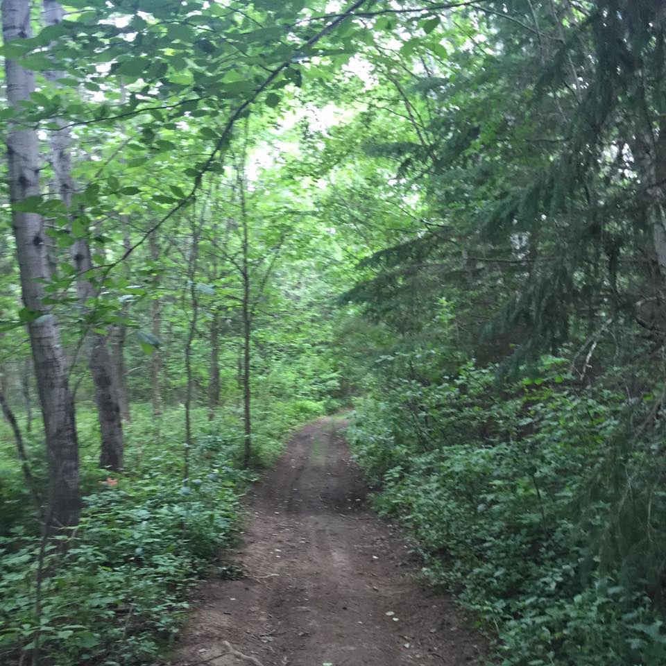 noacktually's tweet photo. My head clears and my anxiety evaporates with runs on these trails.  #MovementIsMedicine #SickNotWeak https://t.co/gSCyW3A4Dc
