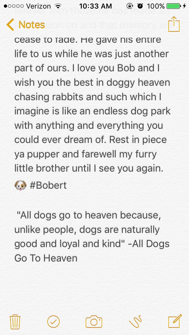 that_1_tallguy's tweet photo. RIP Bobert 🐶 #Bobert https://t.co/00SY4xAbJc