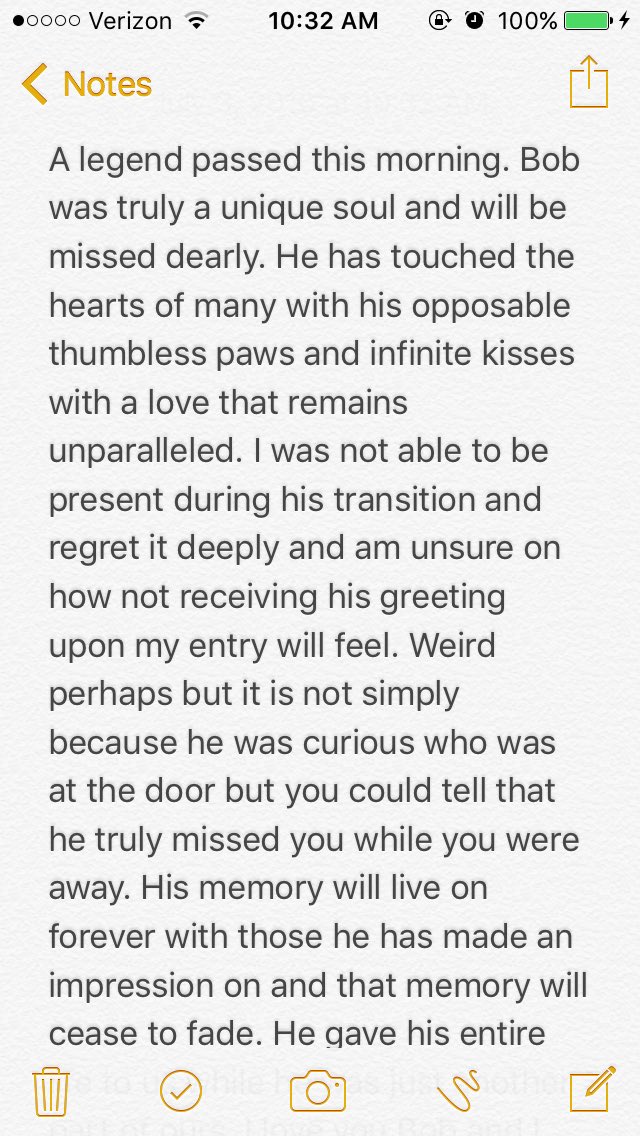 that_1_tallguy's tweet photo. RIP Bobert 🐶 #Bobert https://t.co/00SY4xAbJc