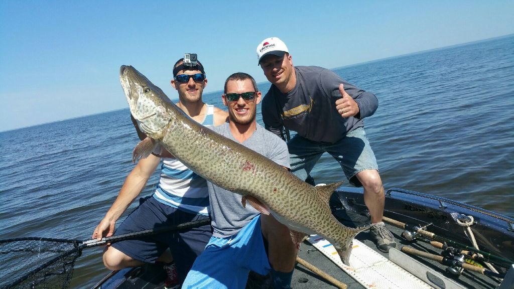 GBMusky's tweet photo. Green Bay Monster @StCroixRods @Abu_Garcia @BerkleyFishing #fullyinvolvedmuskyadventures #bestrodsonearth https://t.co/SYQOMKoiDq