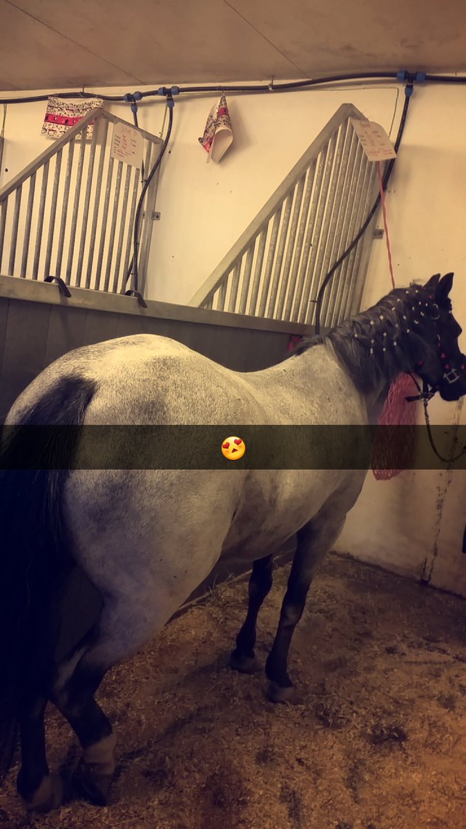 Nathenix's tweet photo. 🐴 https://t.co/vyGP0cyu69